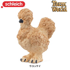 ERbPC 14891  tBMA t@[[h WI} VCq