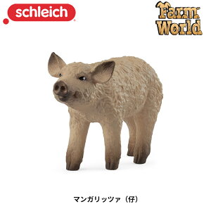 }Kbc@(e) 14893  u^ tBMA t@[[h WI} VCq