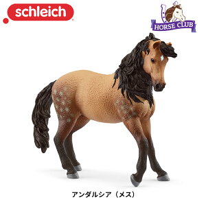 A_VA(X) 14894  n tBMA z[XNu WI} VCq