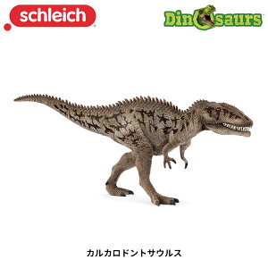 �J���J���h���g�T�E���X 15048 ���� �t�B�M���A �f�B�m�T�E���X �W�I���} �V�����C�q ���� �_�C�i�\�[