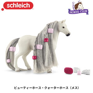 r[eB[z[XENH[^[z[X(X) 42583  tBMA z[XNu \tBAr[eB WI} VCq