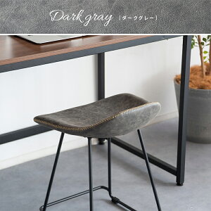 Xc[ tBg KNC-K460P U[Xc[ k ֎q 45cm [Xc[ rO`FA   킢 {쏊