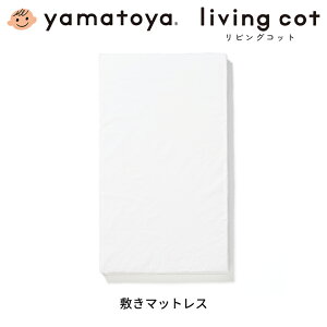 a yamatoya rORbgp~}bgX V[ct j̎q ̎q V IvV xr[xbhpi ւp  킢  yamatoyaFX