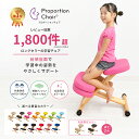 姿勢サポートチェア 学習椅子 小学生 子供 大人 宮武製作所 プロポーションチェア CH-889CK CH-88W 木製 高さ調整 回転しない 補助クッション付き リビング学習【YK09cm】