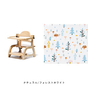 a yamatoya [`FA3 j̎q ̎q 7 o[Ebh xr[`FA [`FA ؐ`FA  킢  yamatoyaFXyYK11cmz