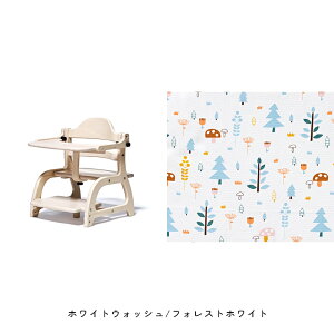 a yamatoya [`FA3 j̎q ̎q 7 o[Ebh xr[`FA [`FA ؐ`FA  킢  yamatoyaFXyYK11cmz