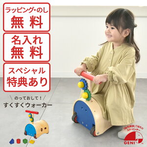 ؐEH[J[ 814055 GENIiWFjjGhC^[ 艟p2WAY Ή тT ʃbsO