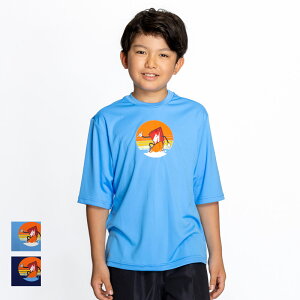 l 30OFF  bVK[h LbY  iCL NIKE V[Y{bNXOtBbN nChK[h jZbNX ܕ 5  gbvX XN[ j WjA UVJb