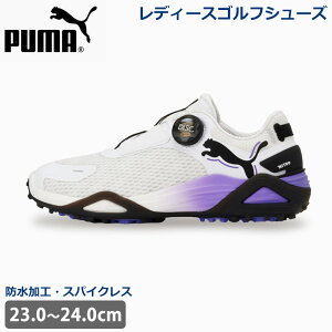  StV[Y PUMA v[} EBY St VhELbg jg fBXN XpCNXV[Y DISCVXe Xj[J[ C h NITROFOAM T|[g _C 310833 fB