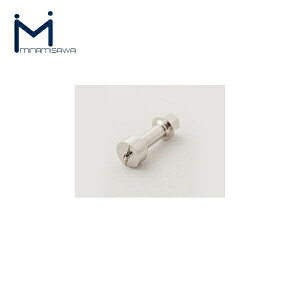 TWKK ~i~T MINAMISAWA TEA95/96pt^JH[]