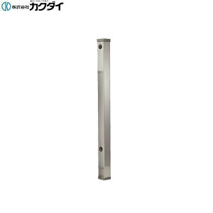 JN_C KAKUDAI XeX(60p)6161-900 []