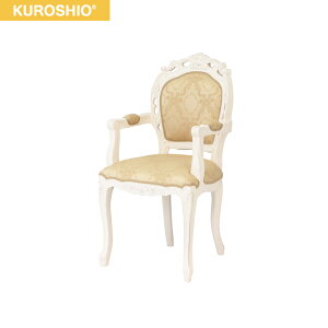92175 �N���V�I KUROSHIO �t�����V�X�J�`�F�A�[ �I�t �z���C�g �����i ��������[]