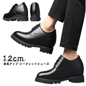 VY EGfBOV[Y 񎟉 V[NbgV[Y vC hXV[Y EGfBO  VY  amC  I V[Y t Ă΂  p[eB[ 12cm 