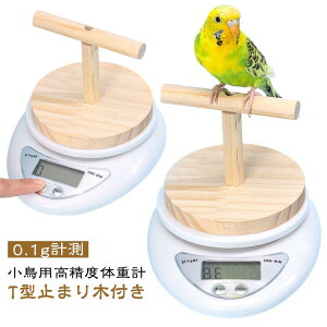 p x̏dv 0.1gv ̑̏dv  CR ZLZC u`E ЂȒ NǗ T^~܂ؕt ybg fW^̏dv p vpvʊ ̑̏dǗ fW^XP