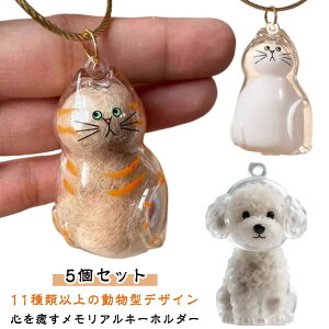 5Zbg ybg  P[X  ybg ѓ  L   L[z_[ ۊǃ{g 킢 ybgЂEю[ ybg уANZT[  g   L  