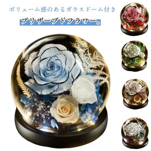 hV̓ KXh[ vU[uht[ ͂Ȃ v[g  LO җj t[Mtg  Mtg t[AW j a  Fl d  Ď  