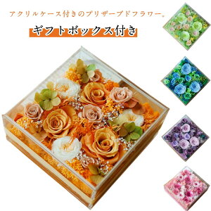 vU[uht[ ANP[X JXj hV̓ t[Mtg {bNXt[  NLOi v[g  Mtg t[AW o ͂Ȃ Vzj JƏj