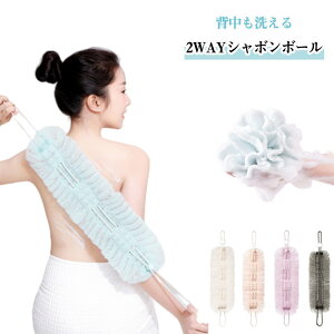 {fB^I w􂦂V{{[ Aălbg Lт {fBX|W oXX|W {fB^I ̐􂤃^I Rt zՕt w A ZA {fBPA RR A 