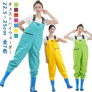 `FXgnCEF[_[  EF[_[ tBbVOEF[_[ C fB[X Cނ ނ C  p u[c kނ `FXgnCEF[_[  d Sh Y