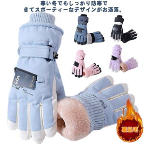 XL[O[u fB[X O[u N Xm[O[u Y h ~g  ĂԂ Xm[{[hO[u Sh oCNO[u Xm[{[h EB^[X|[c ʋC h