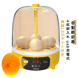 ~jz@ z z z@ 4 ӗ ɂƂ ] ]z  ] { W Cg qR܂ ȒP xێ fW^\ 