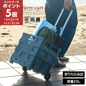 Rei L[J[g y ܂肽 tH[fBOL[S ܂肽݃J[g ReiJ[g LX^[t 25L ^ VbsO J[g ܂ ^ AEghA T