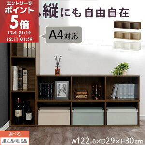 {I  c J[{bNX  X 30cm 3ibN I [I  a4 J[bN ؐ [ Ԏ[ R~bN[  [ I [P[X er r