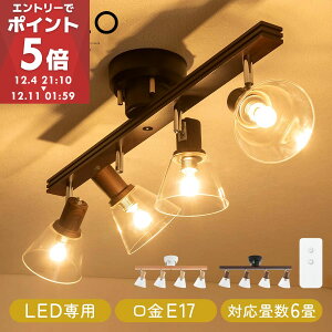 yʌ30%OFFI12/3 20:00~12/11 1:59z  X|bgCg V[OCg 4 led Ɩ X|bg Cg KX VR X`[ Vv Ɩ px U VƖ rO L