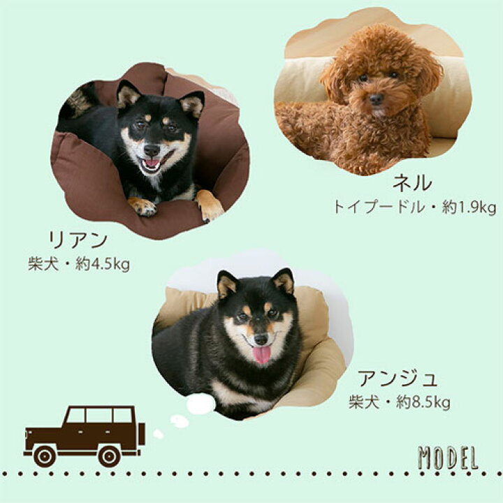 80 Off ドライブボックスド 犬 ドライブベッド 猫 ベッドキャリー ドライブベッドキャリー キャリーバッグ ドライブペットソファ ペットベッド 小型犬 中型犬 Discoversvg Com