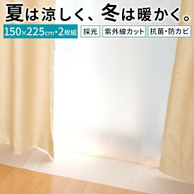 断熱 カーテンライナー ビニール 2枚セット 150×225cm 断熱カーテン 遮熱シート 窓 夏 暑さ対策 冬 結露 寒さ対策 遮熱 節電 防寒 冷気 断熱カーテンライナー 省エネ エコ 抗菌 防カビ UVカット 紫外線対策 透明 ETC001652