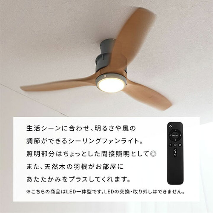楽天市場】抽選で楽天ポイント最大77,777 GET☆ シーリングファン DC 