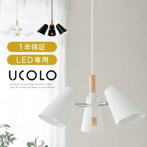 y|Cg5{ 10/30z y_gv 3 V䃉Cg Vv ݂艺 R[h  VF[h X|bgCg  ԐڏƖ X|bg Cg px U Lb` Q _