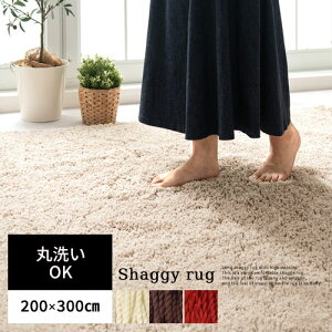 O}bg 200×300cm 􂦂 ~ J[ybg ` VM[ g[Ή O ӂӂ }bg 傫 O~ ӂӂ zbgJ[ybgΉ I[V[Y ~p V  x[