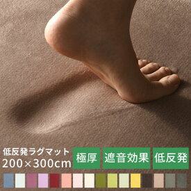 【クーポンで5％OFF！4/27迄】 低反発 ラグ 極厚 25mm 200×300 ラグマット 滑り止め付 遮音 消音 ふかふか もっちり カーペット マット 絨毯 マイクロファイバー 冬用ラグマット ふわふわラグ リビング 子供部屋 無地 シンプル おしゃれ かわいい CARPET000010