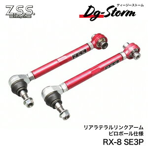 Z.S.S. DG-Storm SE3P RX-8 NCEC ���[�h�X�^�[ ���A ���e���������N �A�[�� �A�b�p�[�A�[�� ���A��