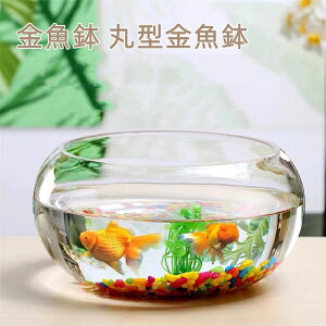  ی^  ^ 琅 KX _J _J   e[u ϗtA e  ANAE {E CeA | e  (20cm)i25cmji30cmj