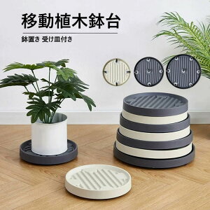 yzAؔ tړԑ  u t[X^h u LX^[ v^[pM g[ v[g 360°]LX^[t   u A 