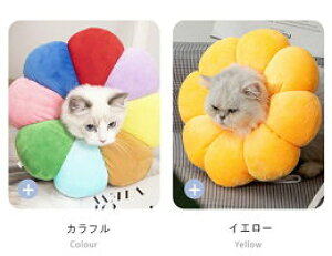 GUxXJ[  \tg y Lp p L   p    rߖh~ ݖh~ ybgp ^ ^ ^ pEFA PAObY pi ybgpi _炩 