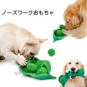 m[Y[N GhE T[N^Cv mߋ mgC  I`  Ck ybgp Hh~ m[Y[N t[h{E Pѕz {[ Q[ ^s XgX