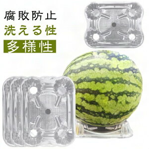 t[c}bg 100Zbg 100Zbg XCJ |t[ e h~  100 Q  ڂp\ ynɗ ʕ̉~ 󂯎M  ʕA 