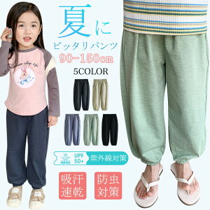 Opc LbY h΍  Y{ q j̎q ̎q jp n q ʋC   悯 100-150cm ʉ ʊw  t ɗD _炩 Y{ h i [