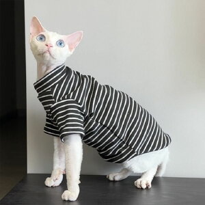 XtBNXL LbgEGA XgCv L  _炩  ybgEGA  Z[^[ p[J[ tďH RjXт̔L EȒP AEghA R[jbVbNX f{