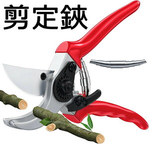  y2025lCt߂̙oT~zv ΂ hCcZp̗p ؂ꖡ4{ SK5Yf| ϋv5{ Kтɂ ɂlԍHwA~Obv yʉ }؂oT~ 