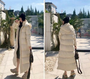 _ER[g x`R[g H R[g fB[X jp ~ OR[g 傫߃|Pbg t@[t |Pbgt R[g AE^[ Wp[ OJ hXg  g h 