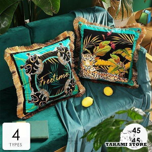 NbVJo[ Jo[̂ k 45×45cm  qE  R p I O[ CG[ ubNS[WX x[VbN zeCN