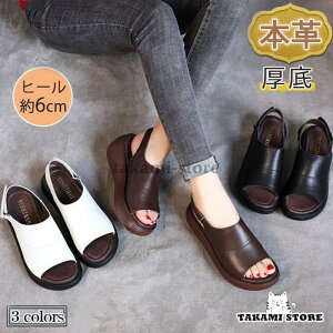 T_ {v _炩 xN fB[X  EFbW EFbW\[ ʋ ₷ V[Y Xgbv  r C RtH[g