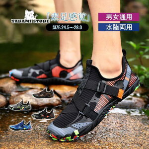 }V[Y EH[^[V[Y p  Vm[PO ANAV[Y xAtbg tBbglXV[Y r[`T_ y jp