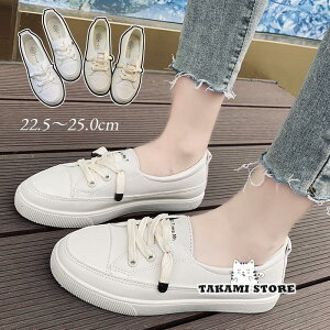 Xj[J[ fB[X  fbLV[Y tbgV[Y [Jbg [X Abv y C