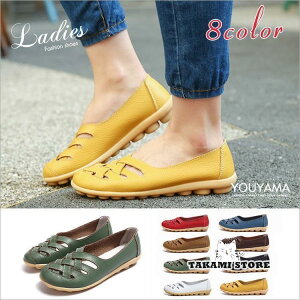 V[Y fB[X RtH[gV[Y JWAV[Y  C fB[XC JWAV[Y 