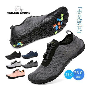 }V[Y EH[^[V[Y p  Vm[PO ANAV[Y xAtbg tBbglXV[Y r[`T_ y jp